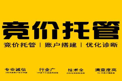 案例展示：SEM竞价优化如何实现低成本高转化